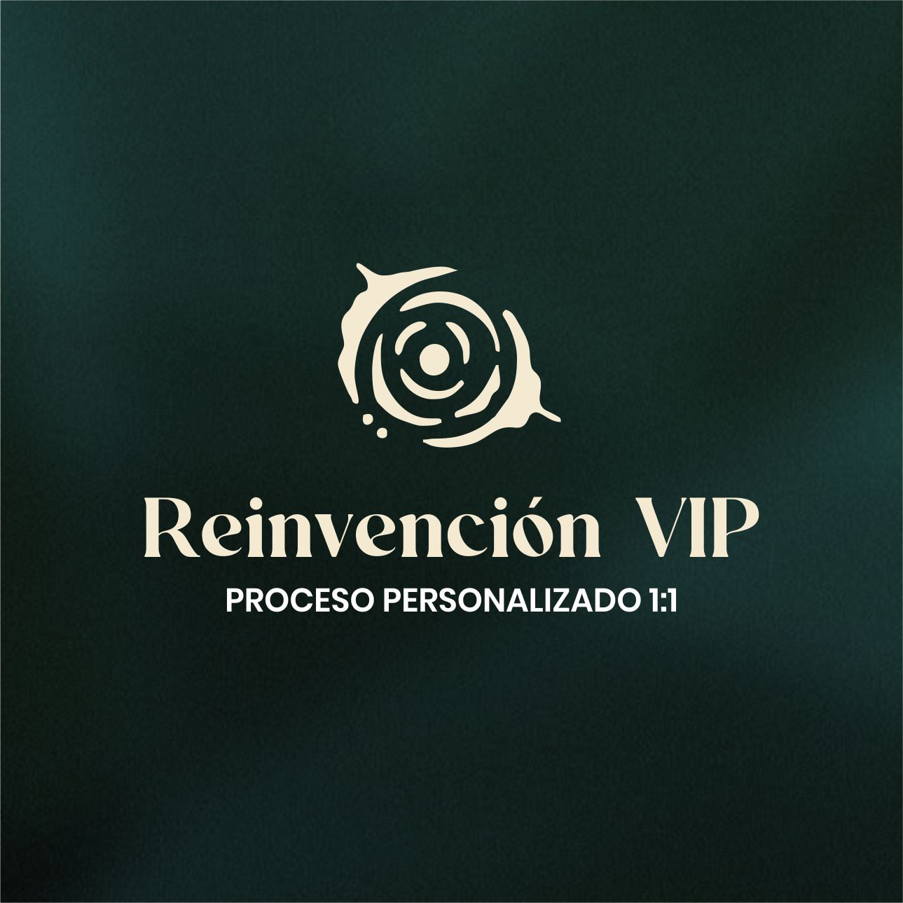 Producto Reinvención VIP4